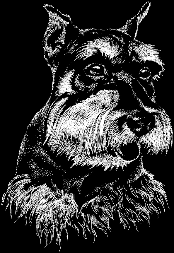 ABH – 2Dogs BW Miniature Schnauzer 00369 © Art Brands Holdings, LLC