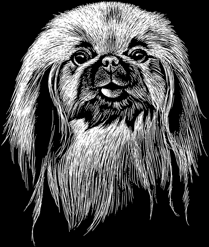 ABH – 2Dogs BW Pekingese 00550 © Art Brands Holdings, LLC