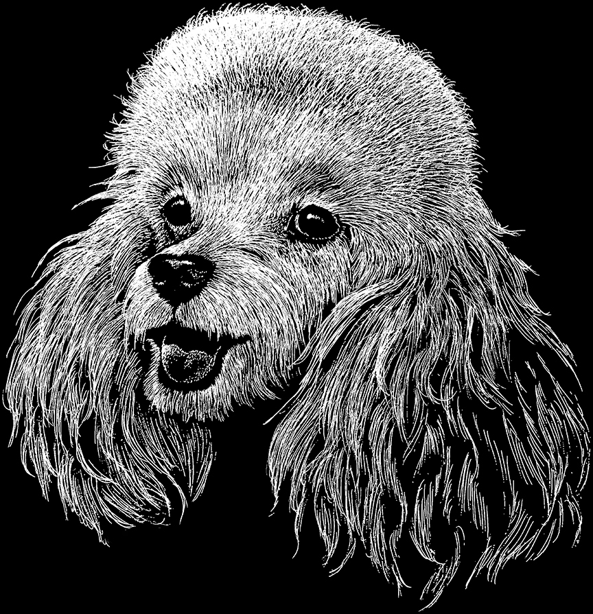 ABH – 2Dogs BW Poodle 00539 © Art Brands Holdings, LLC