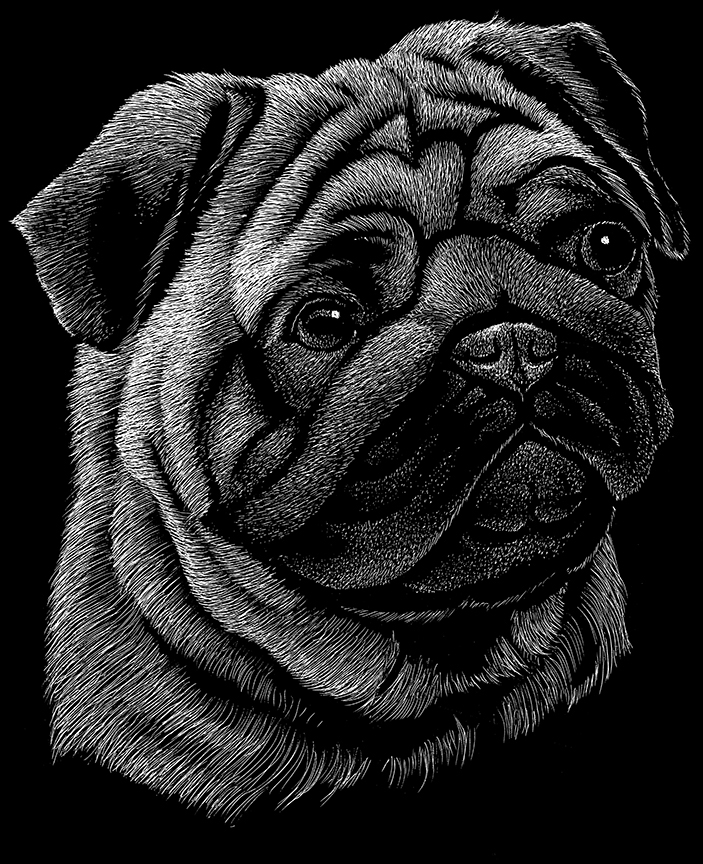 ABH – 2Dogs BW Pug 22258 © Art Brands Holdings, LLC