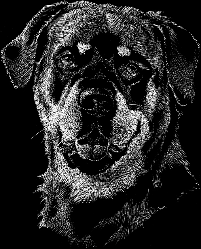 ABH – 2Dogs BW Rottweiler 22417 © Art Brands Holdings, LLC