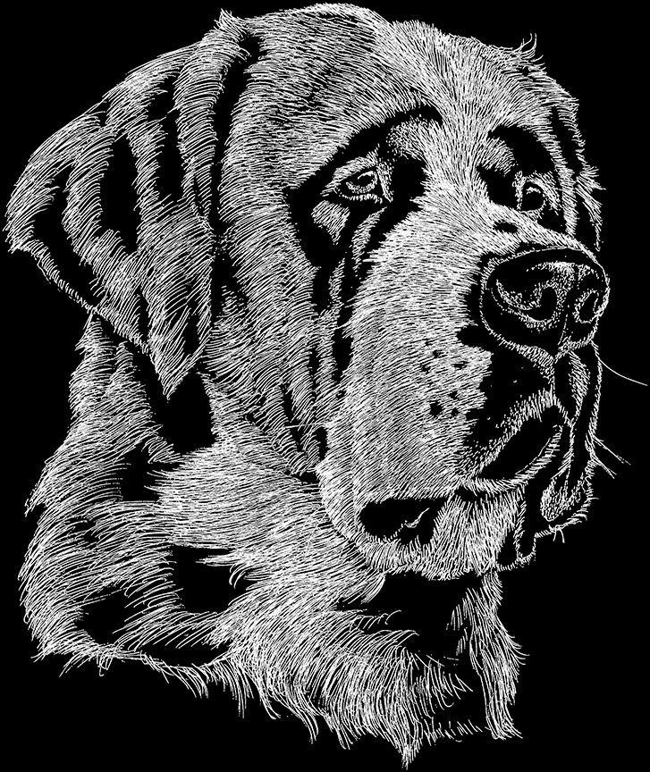 ABH – 2Dogs BW Saint Bernard 00379 © Art Brands Holdings, LLC