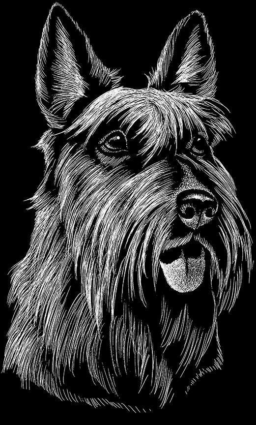 ABH – 2Dogs BW Scottish Terrier 00557 © Art Brands Holdings, LLC