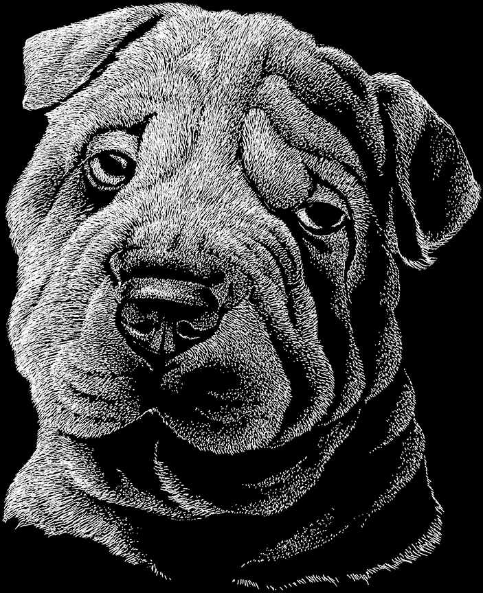 ABH – 2Dogs BW Shar-Pei 00378 © Art Brands Holdings, LLC