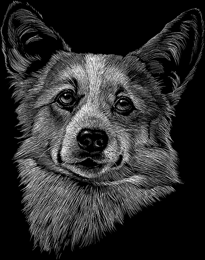 ABH – 2Dogs BW Welsh Corgi 22415 © Art Brands Holdings, LLC