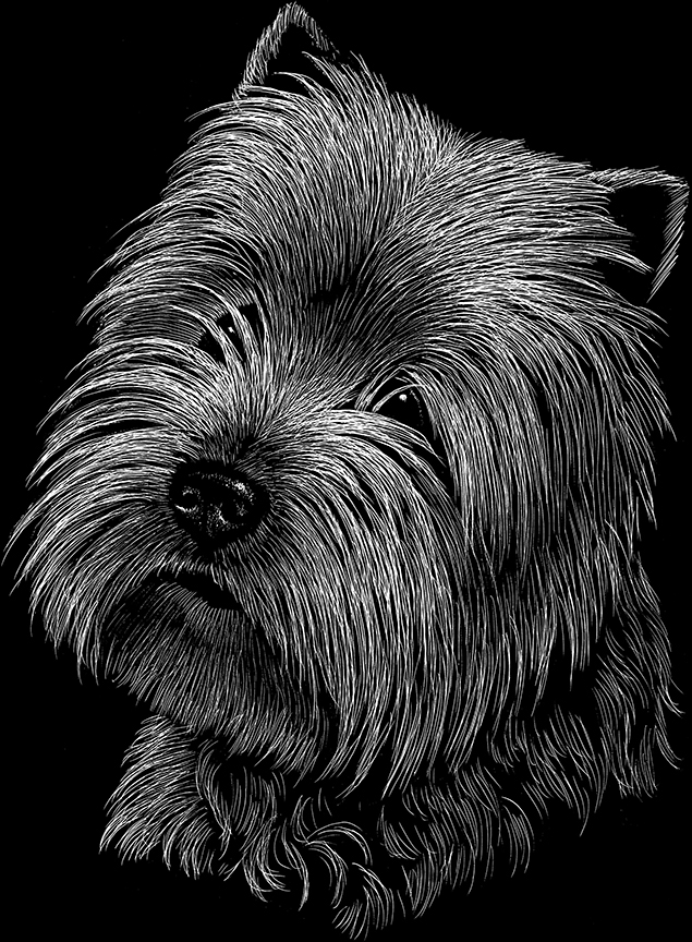 ABH – 2Dogs BW West Highland Terrier 22419 © Art Brands Holdings, LLC