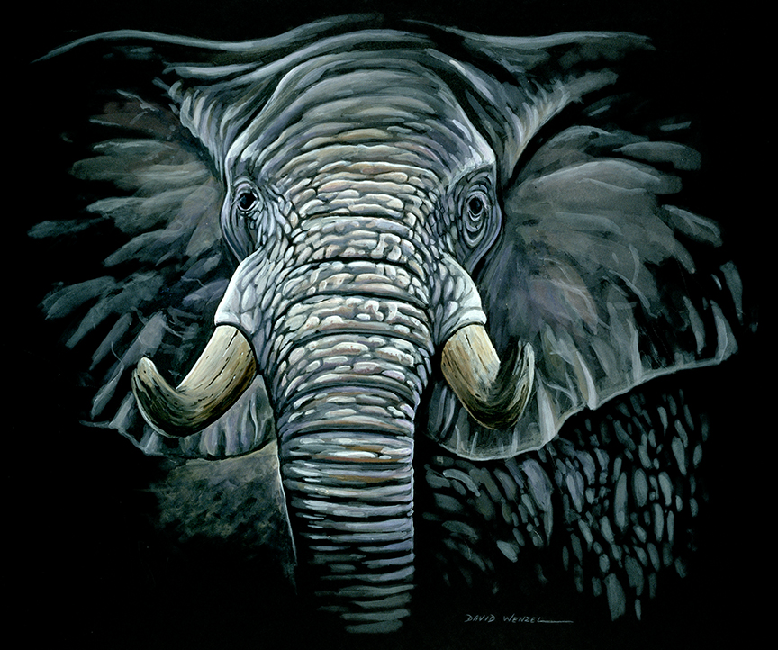 ABH – 4Animals, Black, Elephant 00005 © Art Brands Holdings, LLC