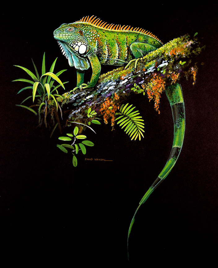 ABH – 4Animals, Black, Iguana 00008 © Art Brands Holdings, LLC