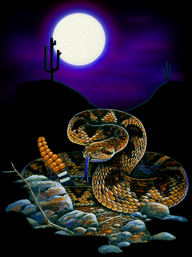 ABH – 4Animals, Black, Snakes 00069 © Art Brands Holdings, LLC