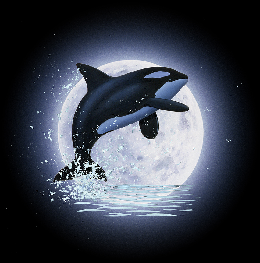 ABH – 4Animals, Black, Whale, 00451 © Art Brands Holdings, LLC