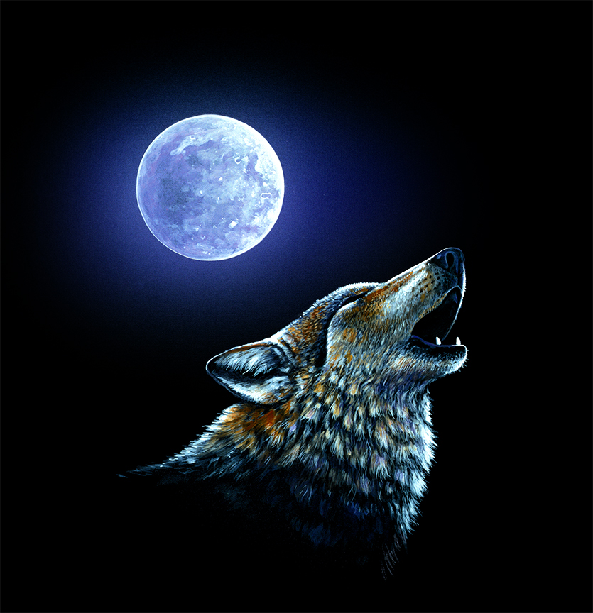 ABH – 4Animals, Black, Wolf 00394 © Art Brands Holdings, LLC