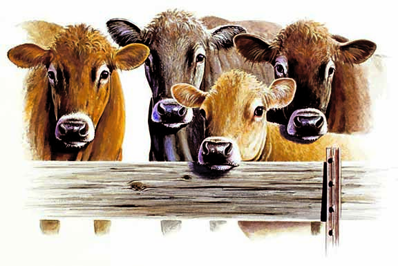 ABH – 4Animals, Cows 09347 © Art Brands Holdings, LLC