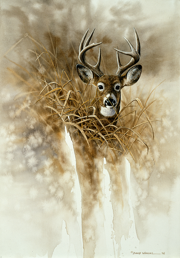 ABH – 4Animals, Deer 03509 © Art Brands Holdings, LLC