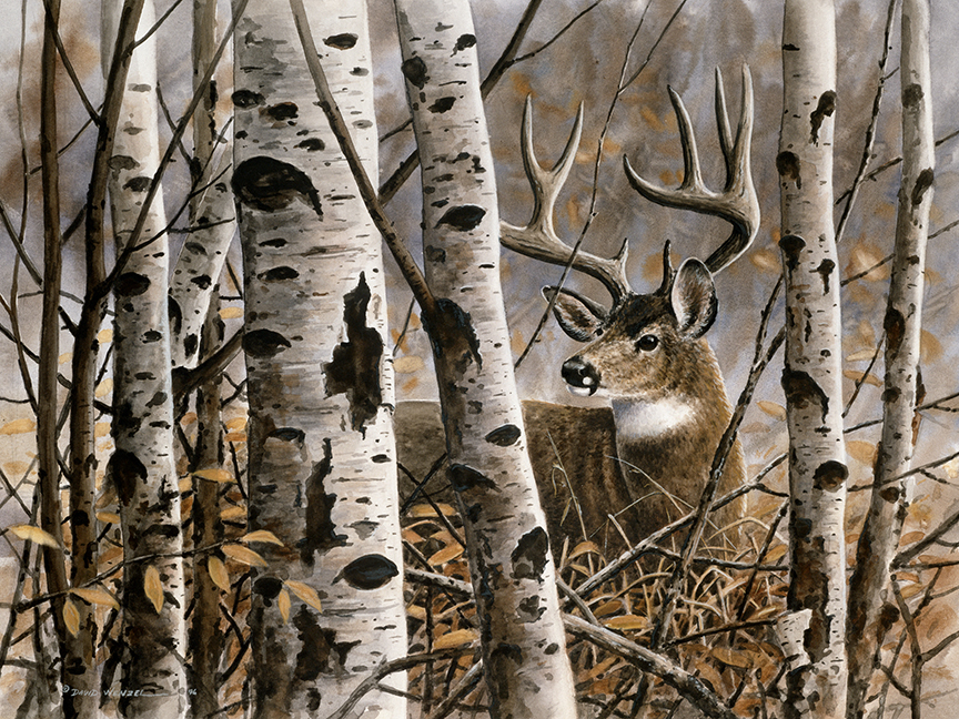 ABH – 4Animals, Deer 03520B © Art Brands Holdings, LLC