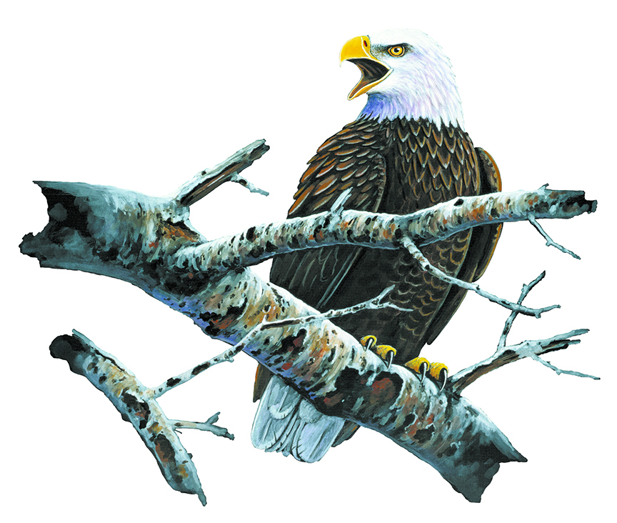 ABH – 4Animals, Eagle 03217 © Art Brands Holdings, LLC