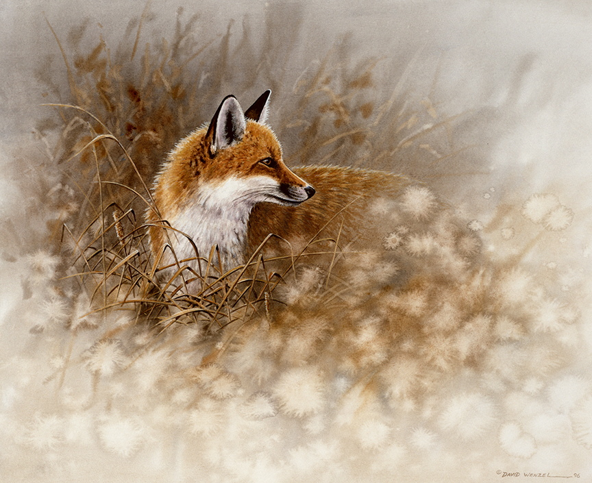 ABH – 4Animals, Fox 03518B © Art Brands Holdings, LLC