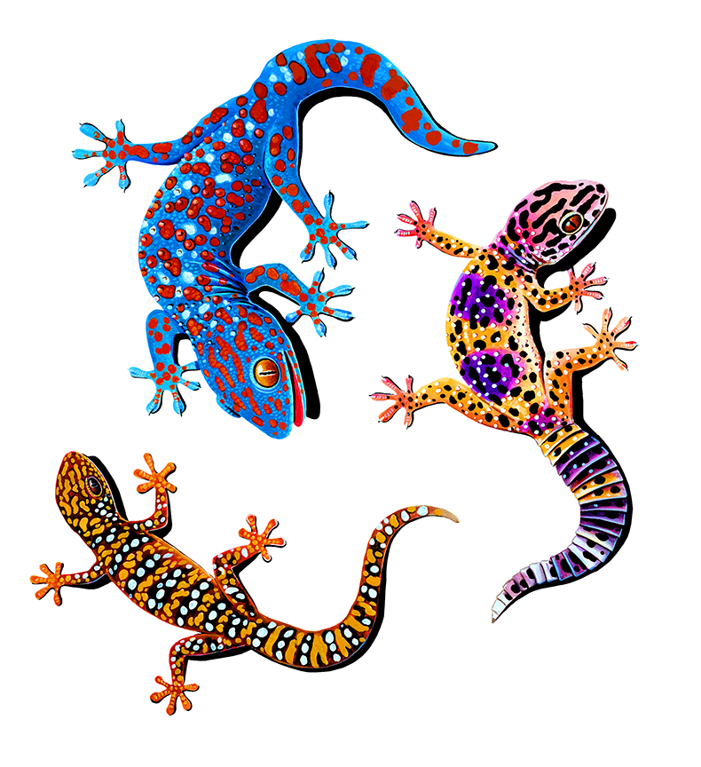 ABH – 4Animals, Geckos 00067A © Art Brands Holdings, LLC