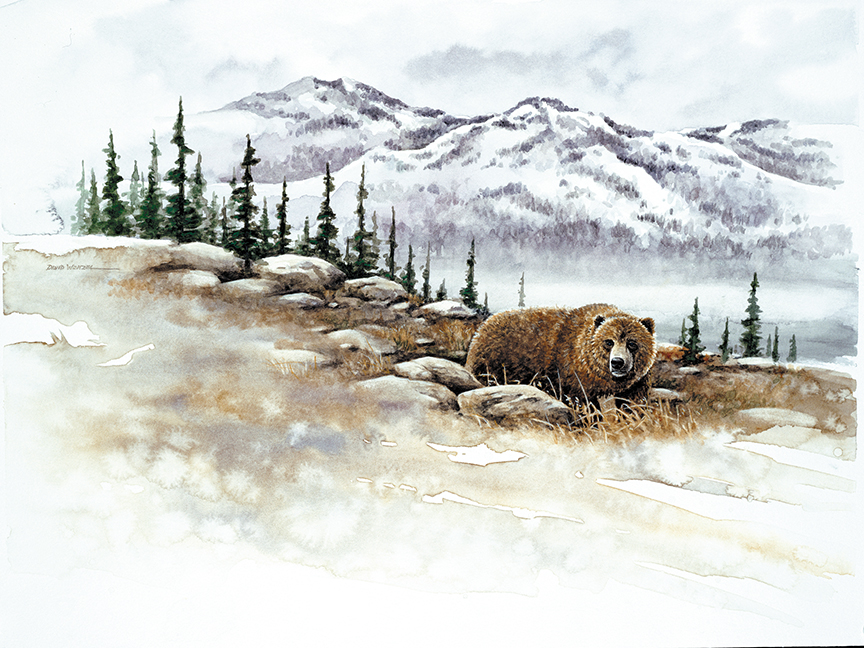 ABH – 4Animals, Grizzly Bear 04743 © Art Brands Holdings, LLC