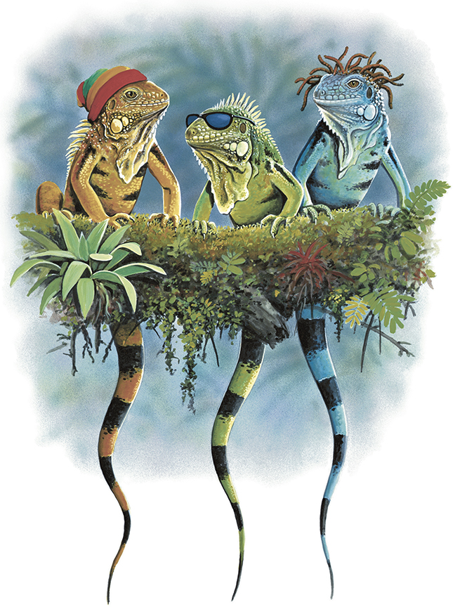 ABH – 4Animals, Lizards with Rastacaps, Front 05320 © Art Brands Holdings, LLC