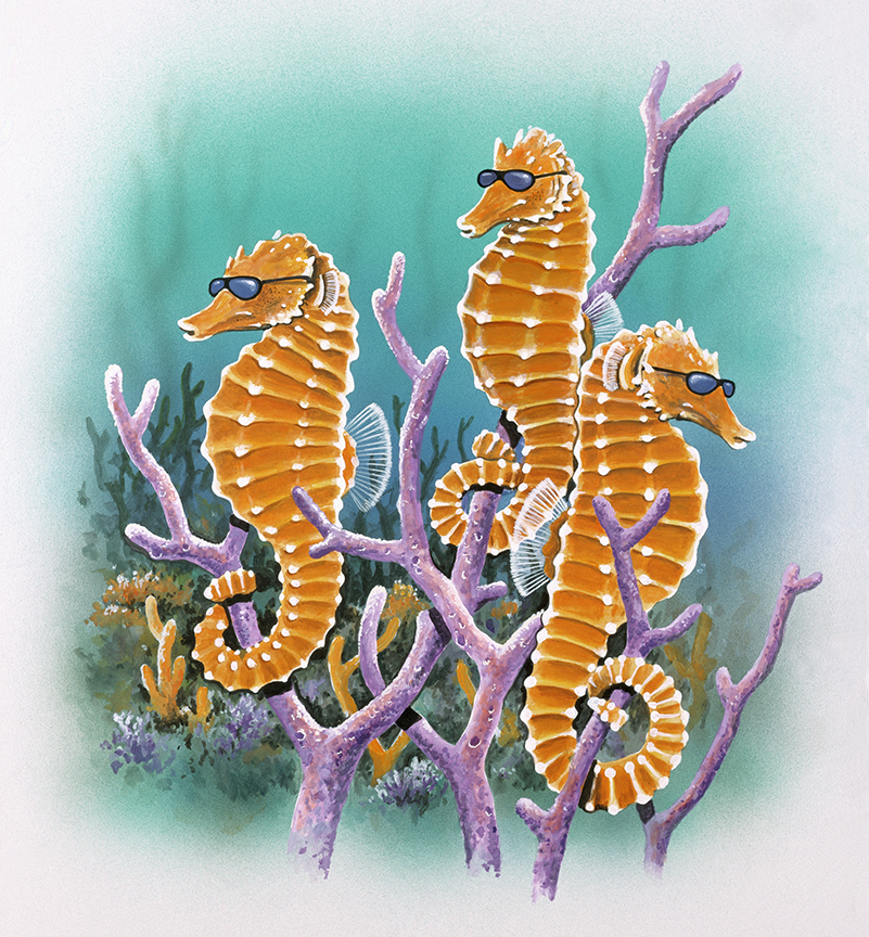 ABH – 4Animals, Seahorse 03820 © Art Brands Holdings, LLC