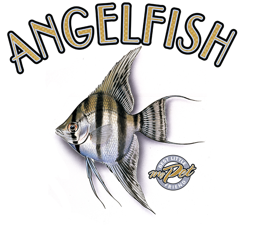 ABH – 4Animals, Words, Angelfish 03542 © Art Brands Holdings, LLC