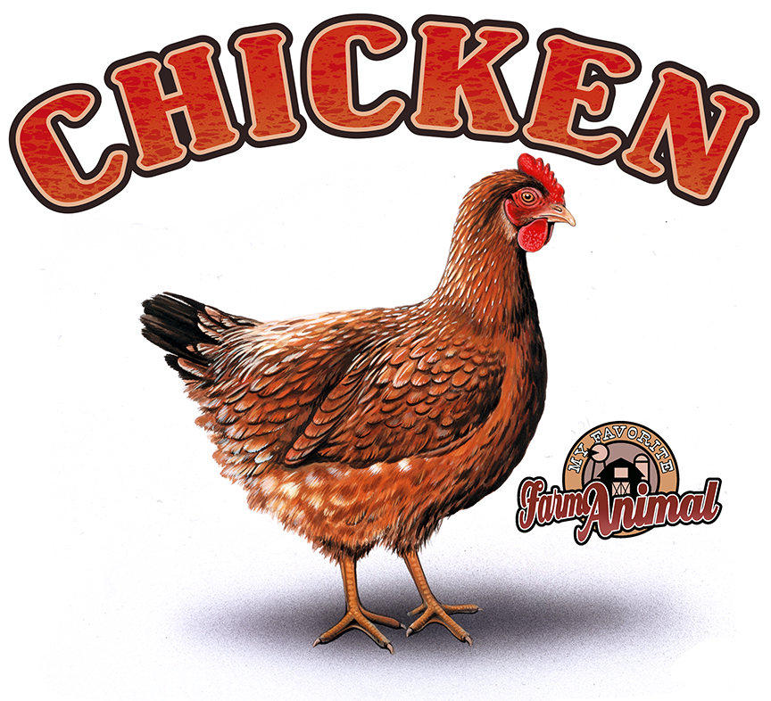 ABH – 4Animals, Words, Chicken 03539 © Art Brands Holdings, LLC