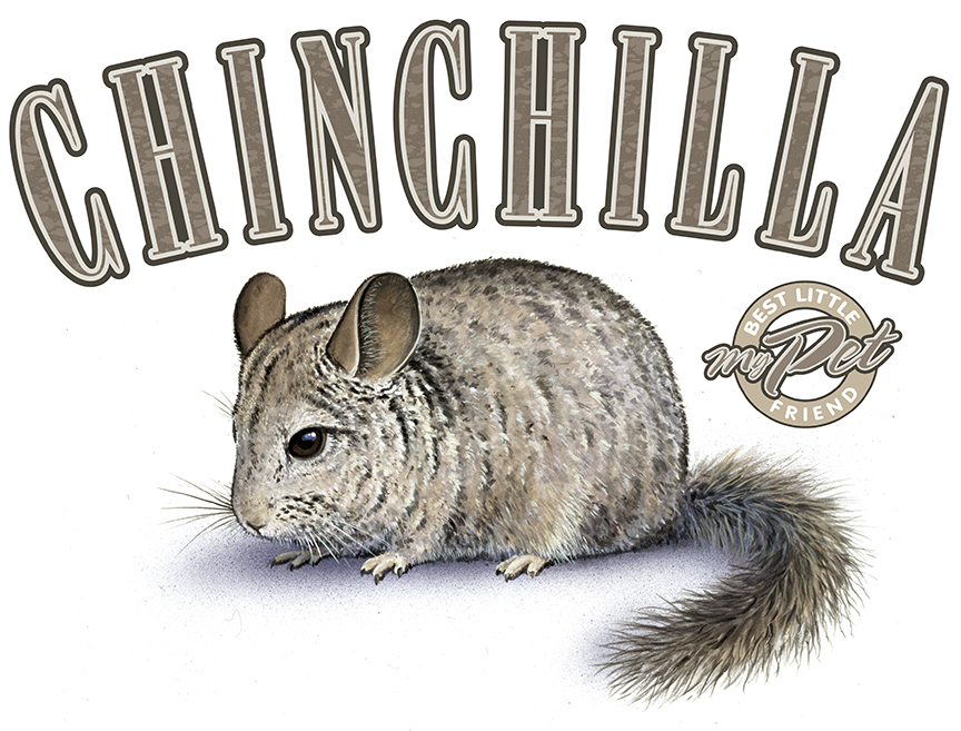 ABH – 4Animals, Words, Chinchilla 03538 © Art Brands Holdings, LLC