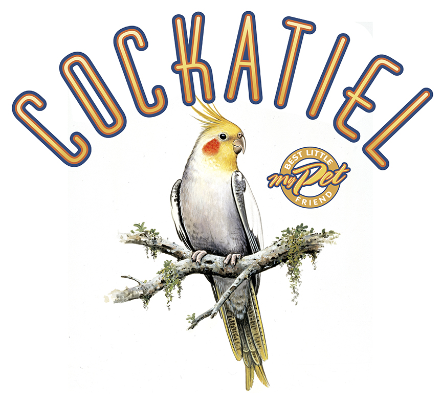 ABH – 4Animals, Words, Cockatiel 03550 © Art Brands Holdings, LLC