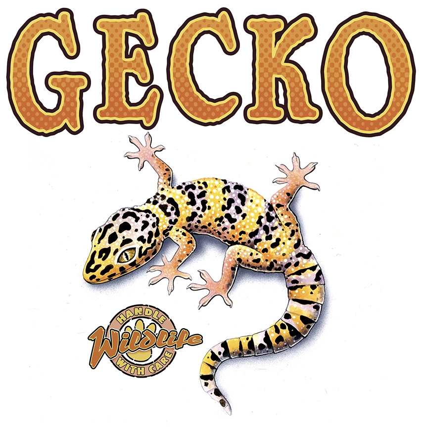 ABH – 4Animals, Words, Gecko 03518A © Art Brands Holdings, LLC