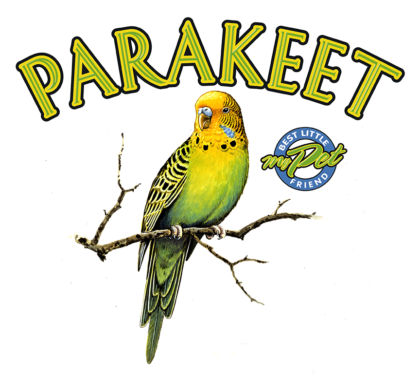 ABH – 4Animals, Words, Parakeet 03553 © Art Brands Holdings, LLC