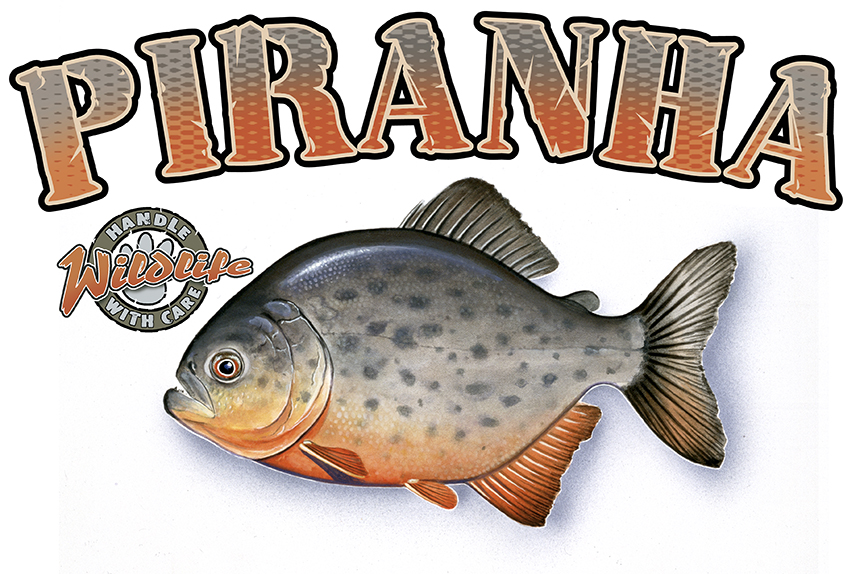 ABH – 4Animals, Words, Piranha 03543 © Art Brands Holdings, LLC