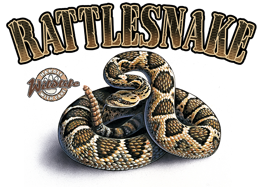 ABH – 4Animals, Words, Rattlesnake 03525 © Art Brands Holdings, LLC