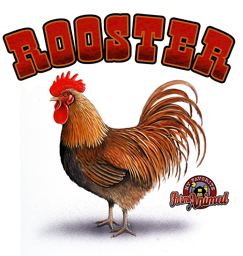 ABH – 4Animals, Words, Rooster 03541 © Art Brands Holdings, LLC