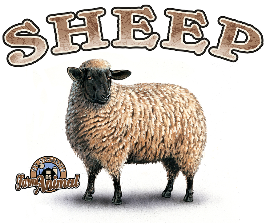 ABH – 4Animals, Words, Sheep 03530A © Art Brands Holdings, LLC