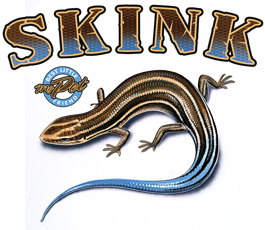 ABH – 4Animals, Words, Skink 03522 © Art Brands Holdings, LLC