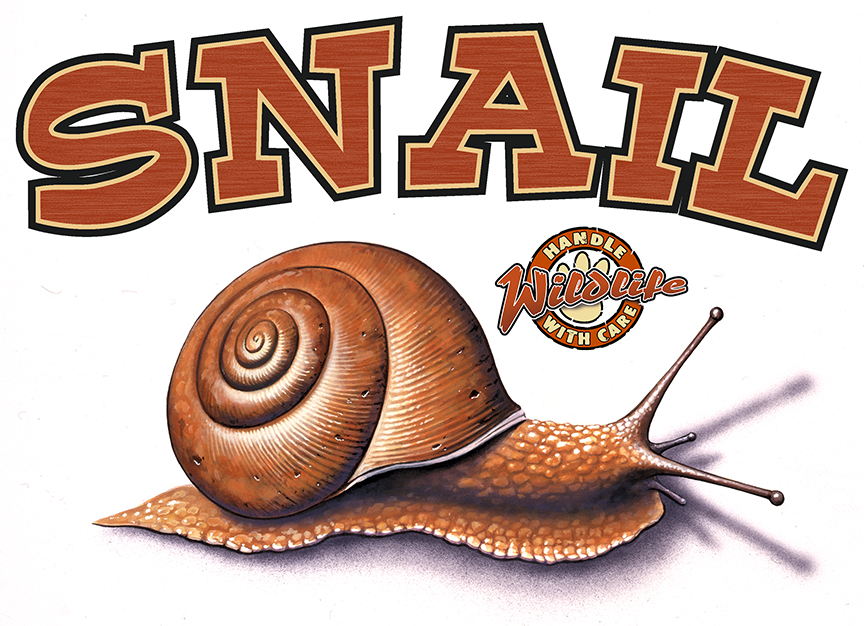 ABH – 4Animals, Words, Snail 03546 © Art Brands Holdings, LLC