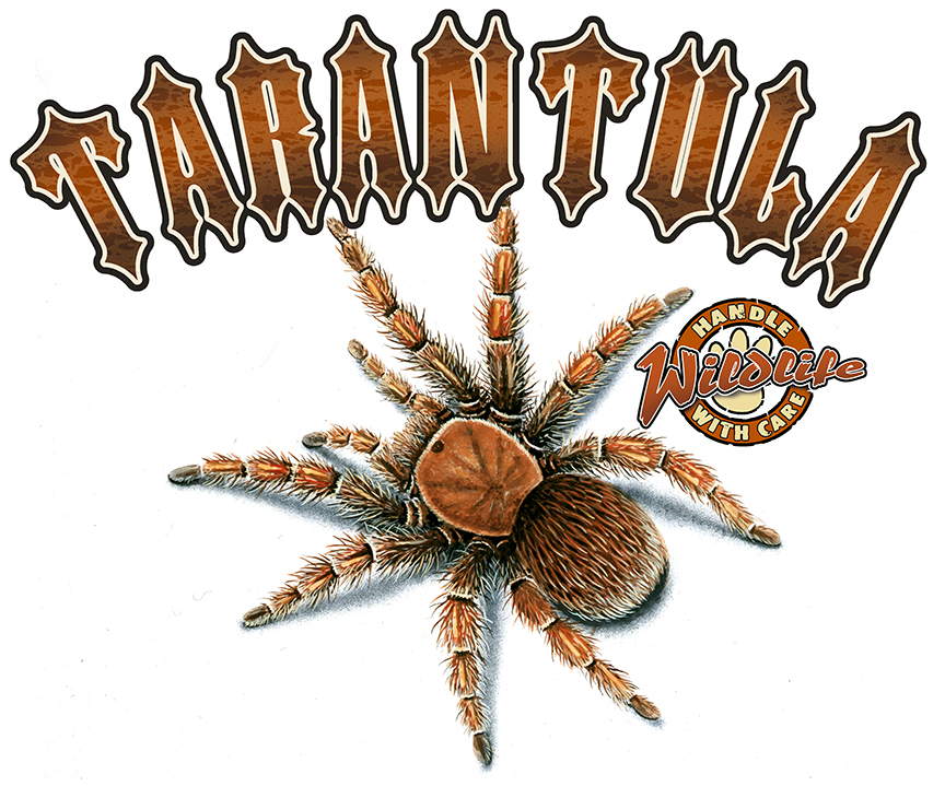 ABH – 4Animals, Words, Tarantula 03552 © Art Brands Holdings, LLC