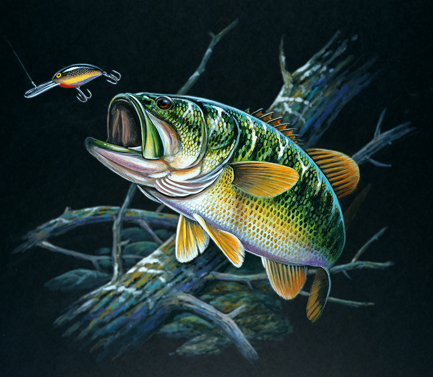 ABH – 4Fish, Black, Bass 00007 © Art Brands Holdings, LLC