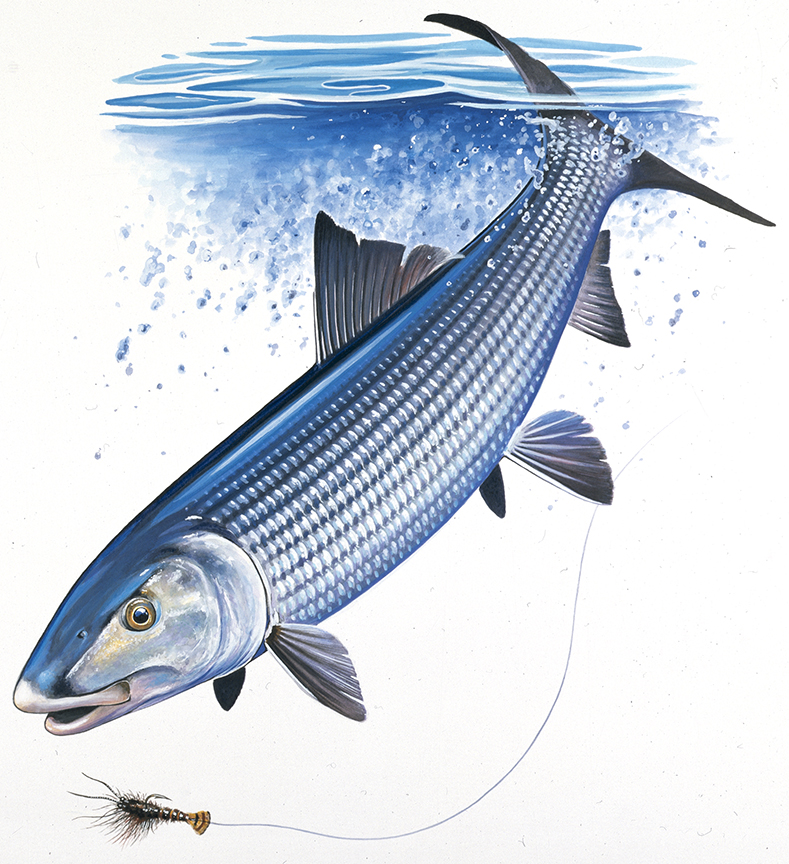 ABH – 4Fish, Bonefish 06644 © Art Brands Holdings, LLC
