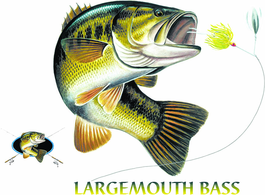 ABH – 4Fish, Largemouth Bass 02794 © Art Brands Holdings, LLC