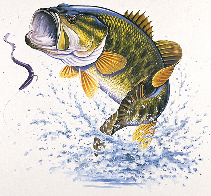 ABH – 4Fish, Largemouth Bass 06524 © Art Brands Holdings, LLC