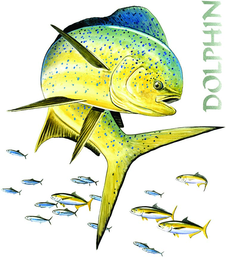 ABH – 4Fish, Mahi Mahi Dolphin 03530B © Art Brands Holdings, LLC