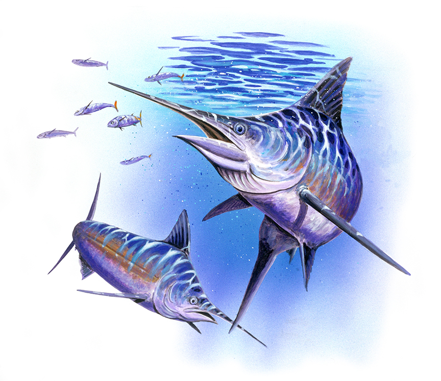 ABH – 4Fish, Marlin 00009 © Art Brands Holdings, LLC