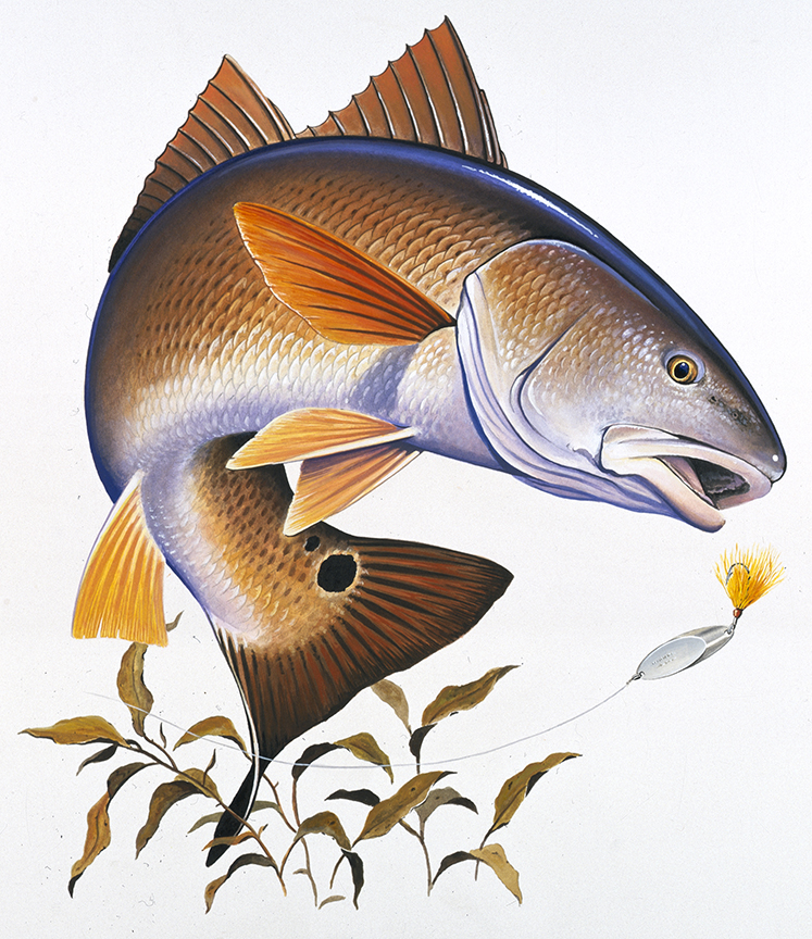 ABH – 4Fish, Redfish 07356 © Art Brands Holdings, LLC