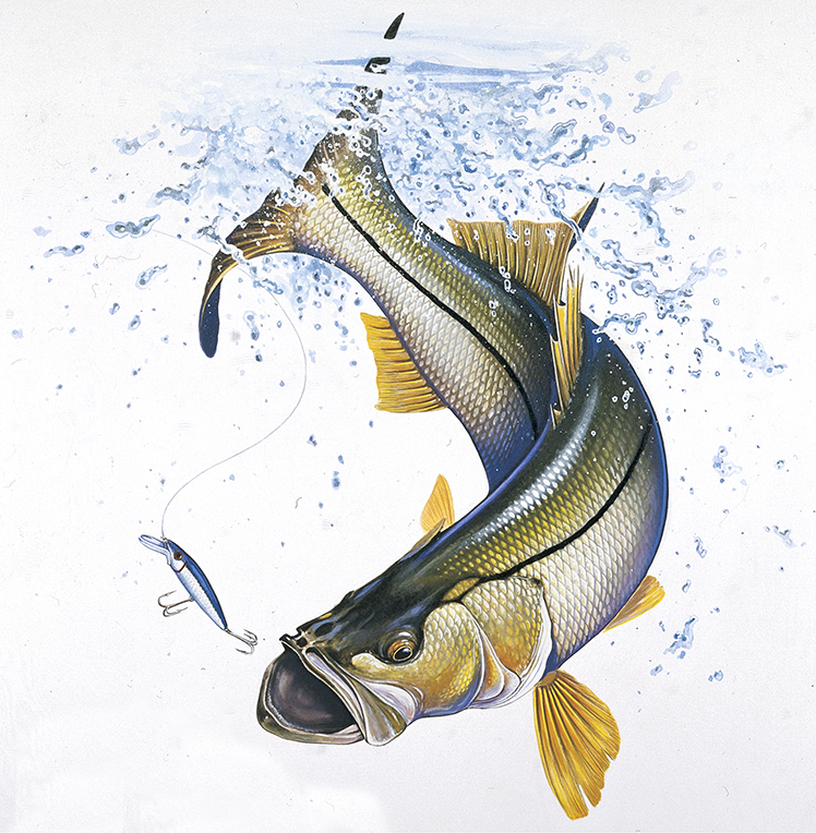 ABH – 4Fish, Snook 06525 © Art Brands Holdings, LLC