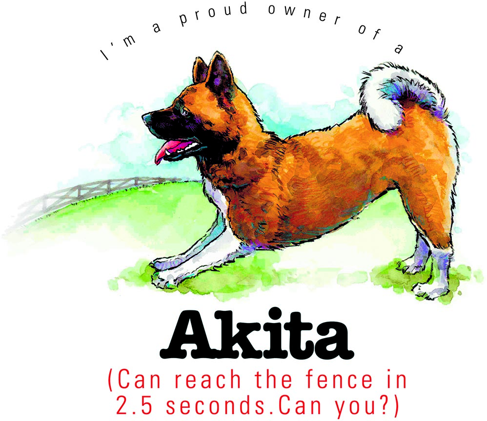 ABH – 4Funny Friends Akita 09112 © Art Brands Holdings, LLC.