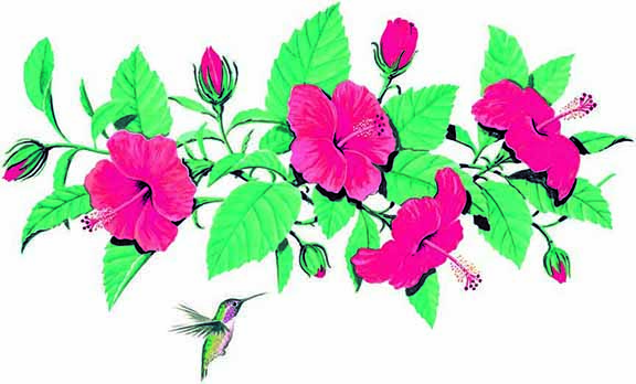 ABH – 6Floral, Hibiscus 05681 © Art Brands Holdings, LLC