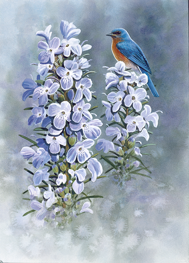 ABH – 6Songbirds, Bluebird 01286 © Art Brands Holdings, LLC