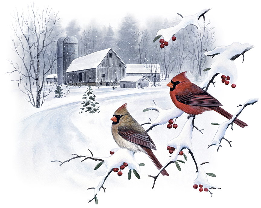 ABH – 6Songbirds, Cardinals, Farm, Snow 01400 © Art Brands Holdings, LLC
