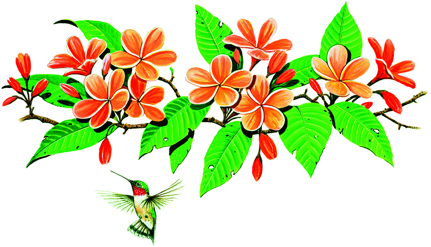 ABH – 6Songbirds, Hummingbirds 05680 © Art Brands Holdings, LLC